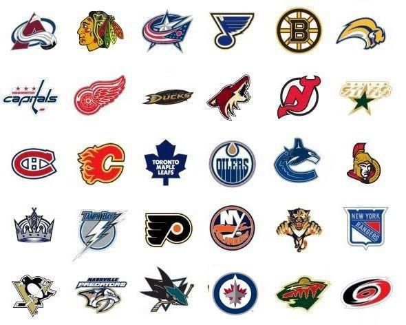 Loga nhl flagkingsports com