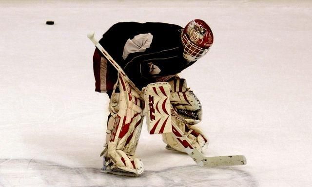 Dominik hasek detroit trening retro foto