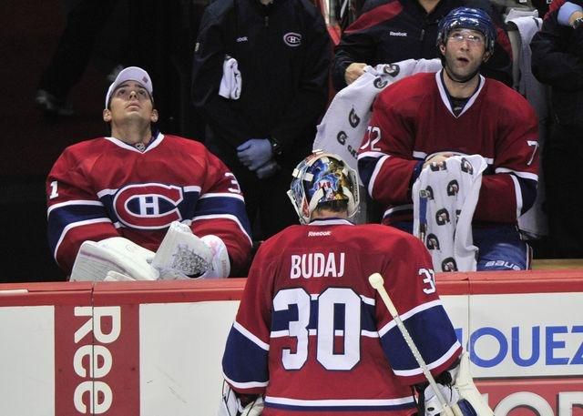 Budaj price montreal fotodna