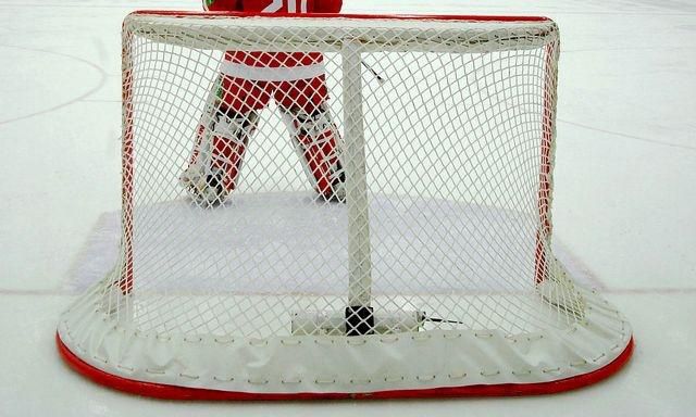 Hokejova branka a brankar ilustracne foto feb2012