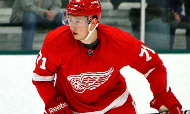 Marek tvrdon detroit red wings hcnitra sk