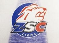 Zsclions zsclions ch