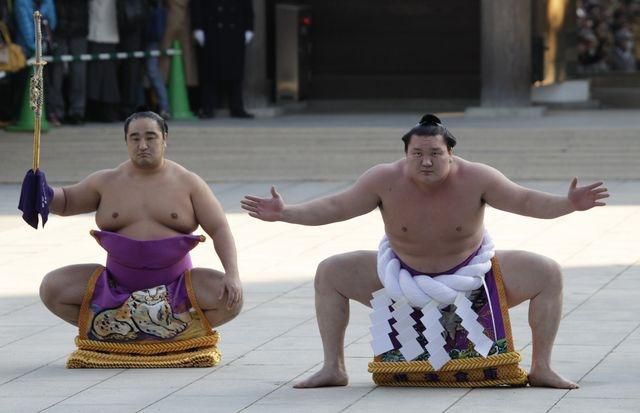 Sumo hakuho fotodna