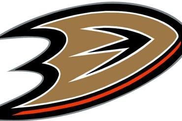 Anaheim ducks logo nhl