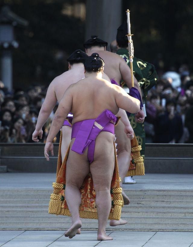 Sumo hakuho fotodna