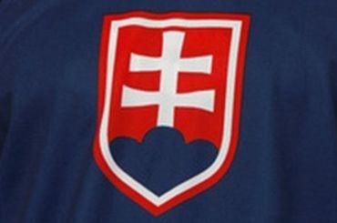 Slovensko hokej znak modry dres ilust