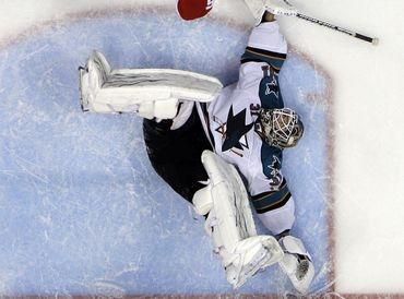 Niemi antti sharks zvrat