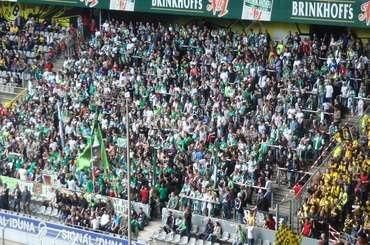 Wolfsburg fans bvb sport sk