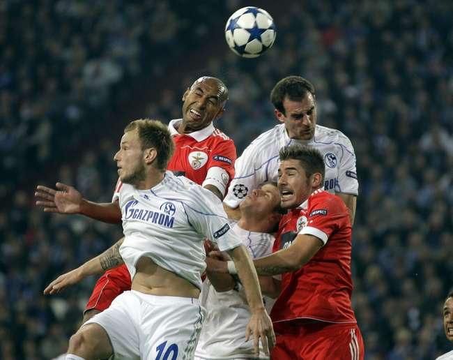 Schalke benfica lisabon lm