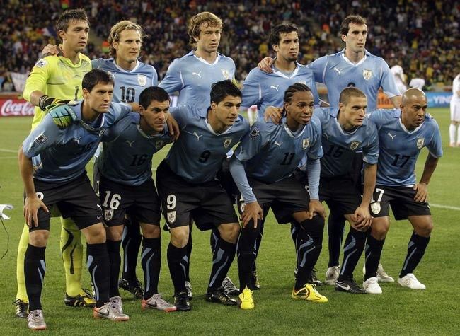 Uruguaj reprezentacia ms jar 2010 travnik