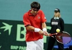 Tipsarevic janko davis cup