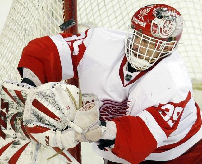 Dominik hasek detroit cesko