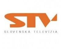 Logo stv