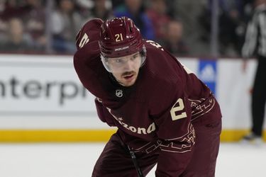 Slováci v NHL: Miloš Kelemen konečne dostal viac času na ľade, bol blízko k osobnému maximu
