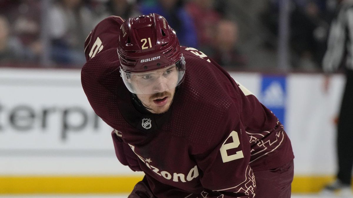 Slovak Forward Miloš Kelemen and Defender Patrik Koch Transferred to Tucson Roadrunners in AHL