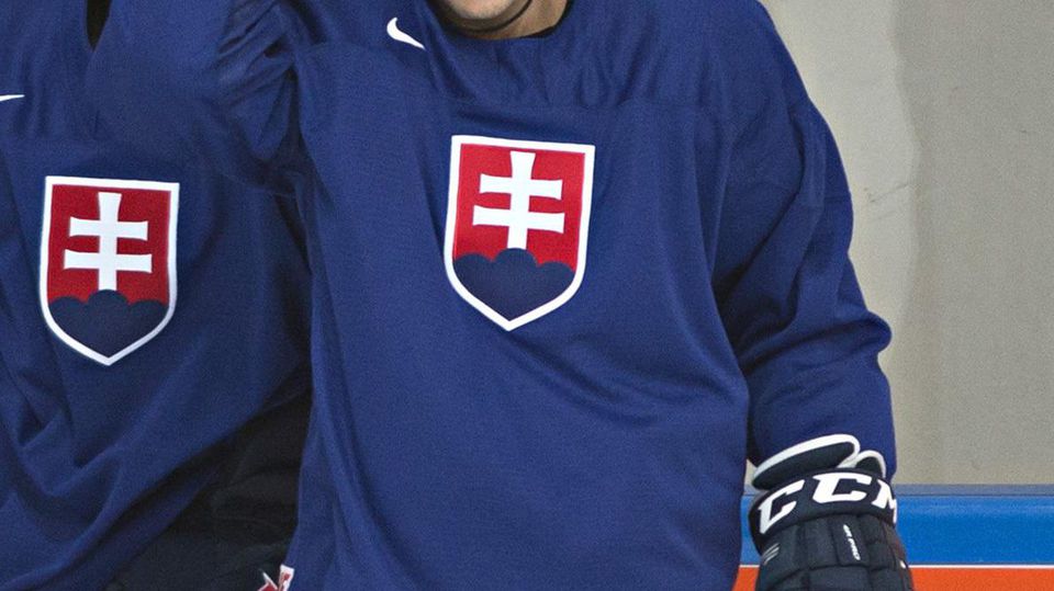 hokej slovensko, dres, ilustracka