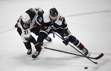 Slováci v NHL: Kelemen stále čaká na prvý bod. Tatar odohral najmenej striedaní za dva mesiace