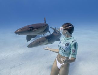 Netradičné dresy Interu Miami so silným posolstvom. Klub ich predstavil fotkami so žralokmi