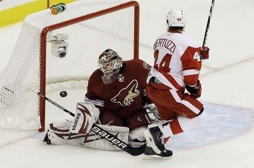 Bryzgalov phoenix bertuzzi detroit playoff 2010