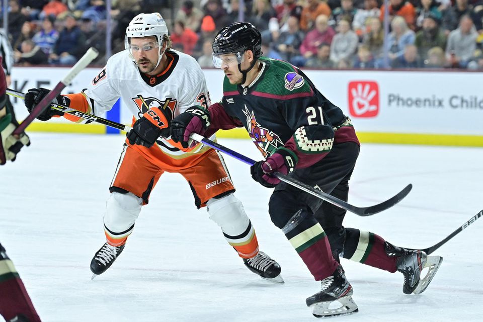 Miloš Kelemen debutoval v NHL v zápase Arizona Coyotes - Anaheim Ducks