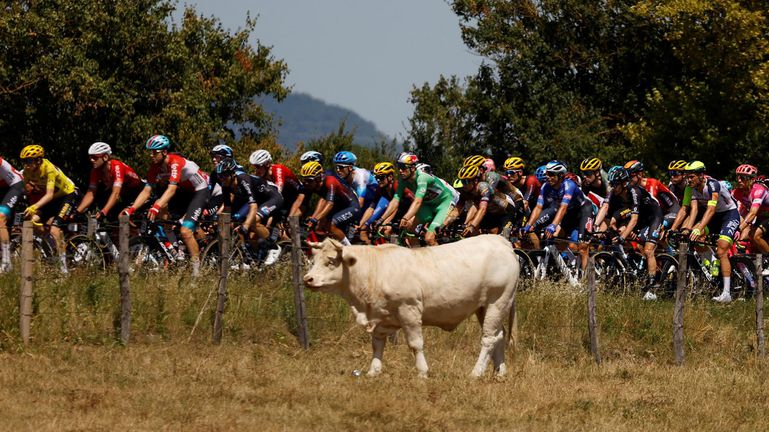 TdF v roku 2024 odštartuje mimo Francúzska, tešiť sa môžu Taliani. Finiš nebude v Paríži