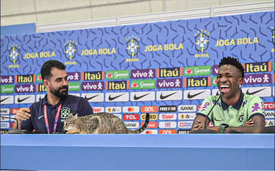 MS vo futbale 2022: Tlačovku Viniciusa narušila mačka. Hovorca ju odhodil