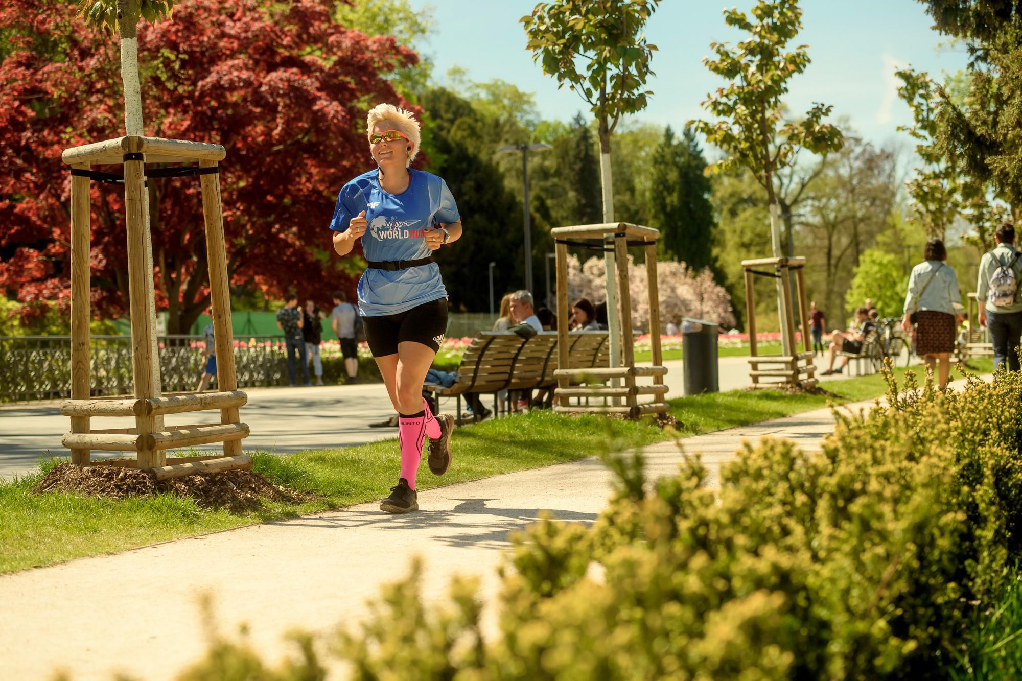 Wings for Life World Run