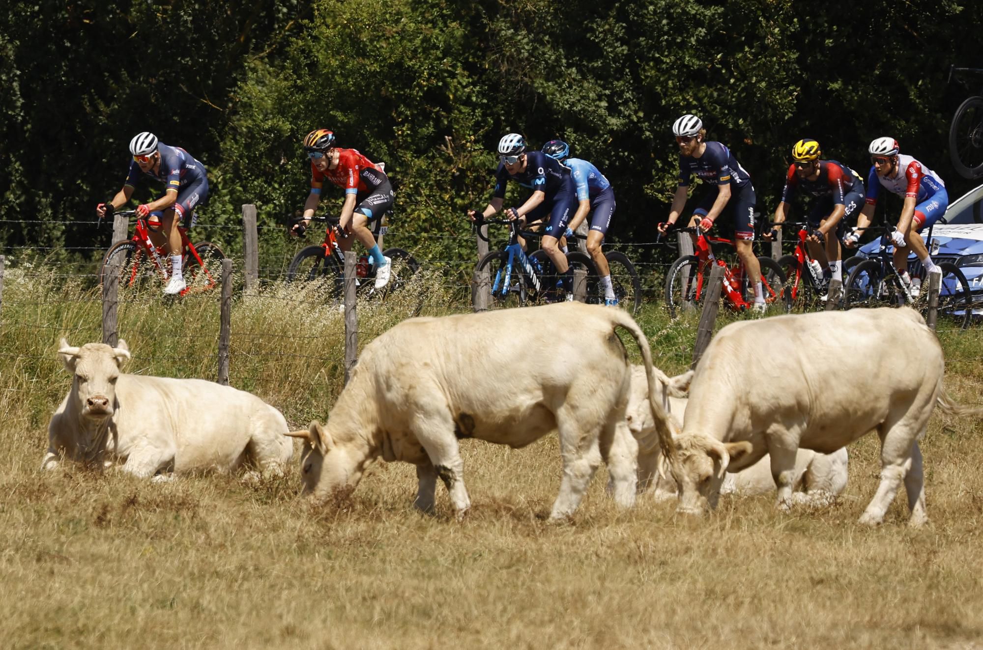 Tour de France 2022 - 13. etapa