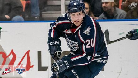 AHL: Český hokejista rasisticky urazil protihráča, za svoj čin dostal tvrdý trest
