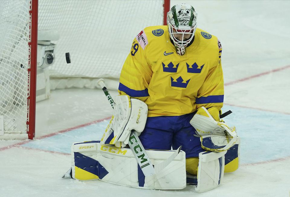 MS v hokeji: Švédsko - Česko