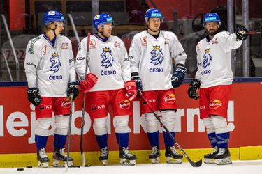 Karjala Cup: Česi vstúpili do turnaja prehrou, Švédi si pripísali prvé body