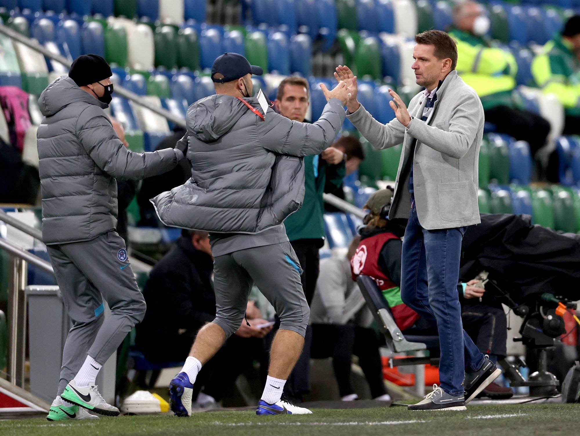 Tréner slovenskej futbalovej reprezentácie Štefan Tarkovič sa teší po góle.