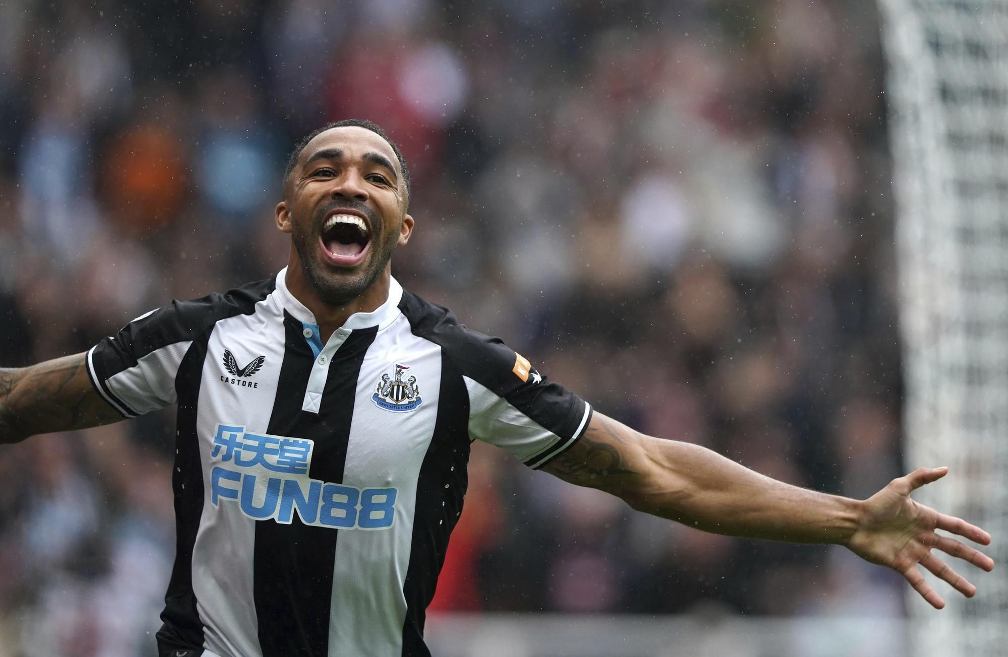 Callum Wilson, Newcastle United