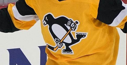 Pittsburgh Penguins podpísal 2-ročnú zmluvu s českým útočníkom