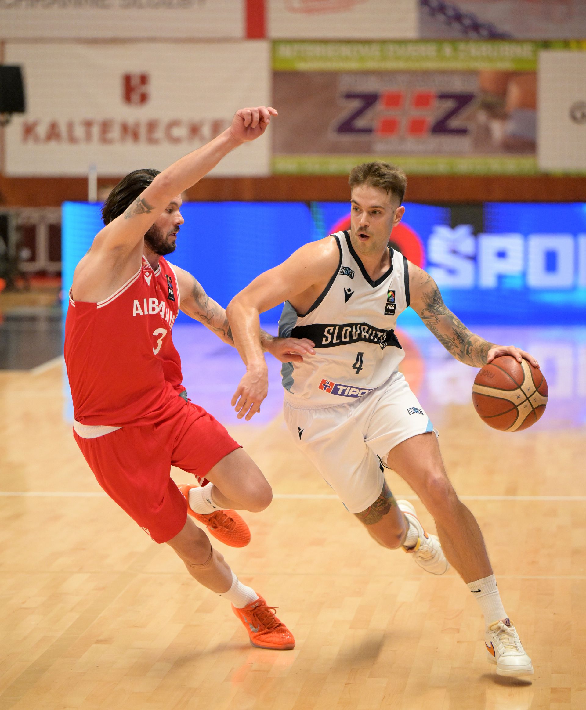 Slovensko - Albánsko. Zdroj: TASR