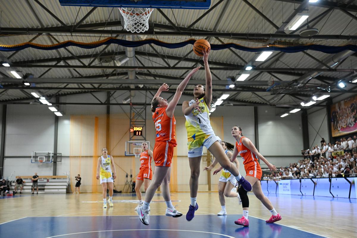 Tipos extraliga: Zlatá rozlúčka a životný výkon. Šedivá mieri do USA a Jackovecová hviezdila