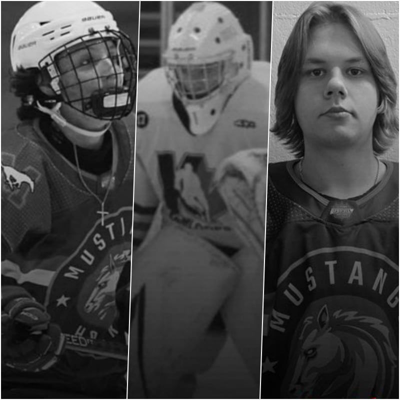 Caden Fine (2008), Cameron Casorso (2007) JJ Wright (2007). Zdroj: x.com/puckempire