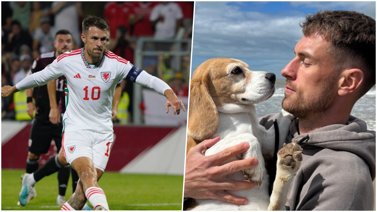 Bývalá hviezda Arsenalu opustila svoj nový klub už po 6 zápasoch. Môže za to pes