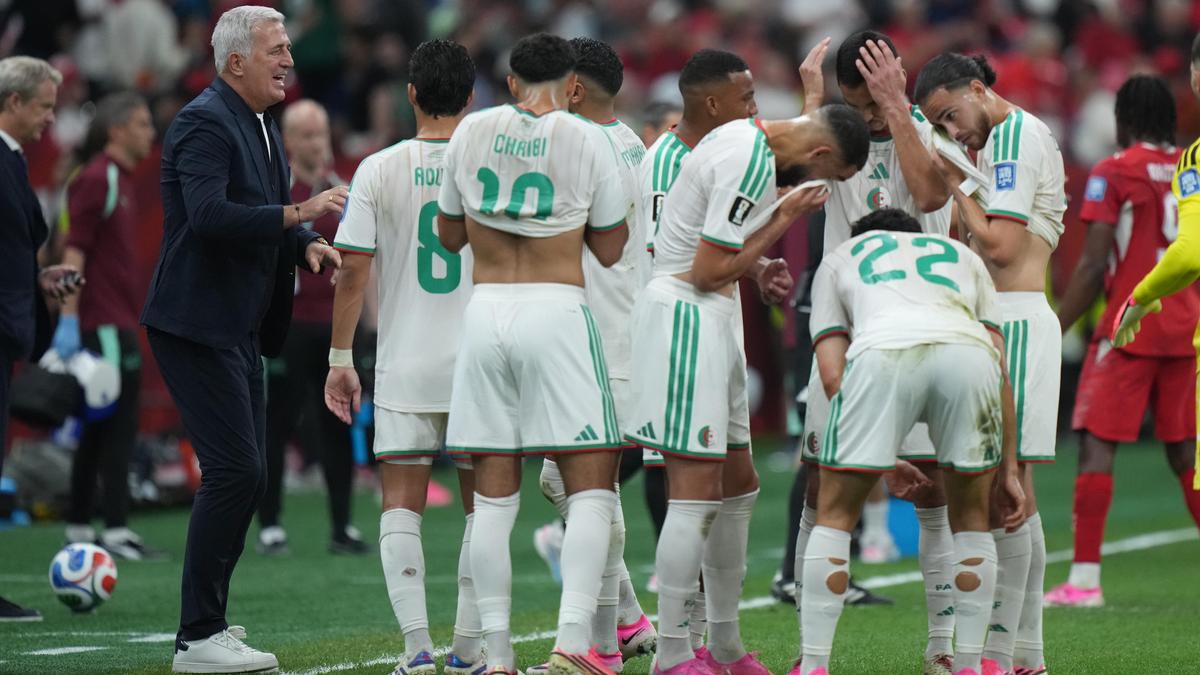 Alžírsko má nového trénera. Na lavičku zasadá bývalý hráč Marseille s čerstvým zlatom