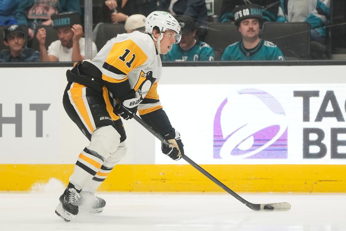 Pittsburghu Penguins bude dlhú dobu chýbať mladý švédsky útočník