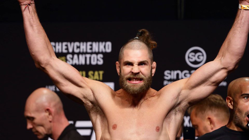 Jiří Procházka - Alex Pereira (UFC 295)