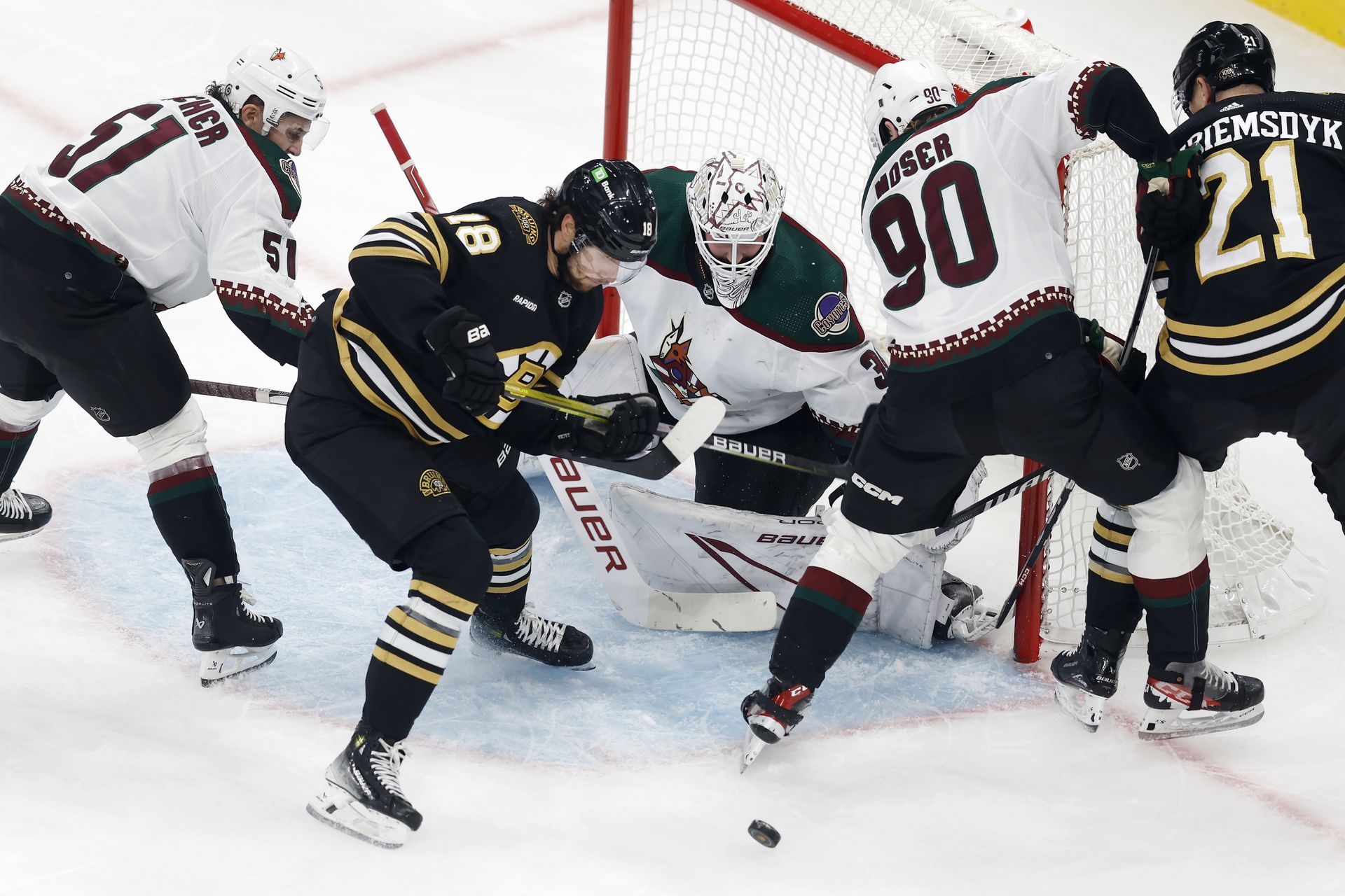 Boston Bruins - Arizona Coyotes. Zdroj: SITA/AP