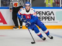 Pre dvoch Slovákov sa sezóna v zámorí skončila. Sú voľní pre MS v hokeji 2024