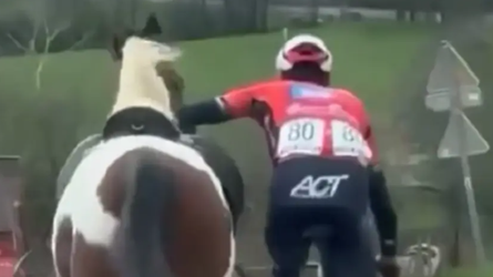 Bizarné scény na pretekoch v Belgicku. „Zaklínač koní“ zabránil najhoršiemu