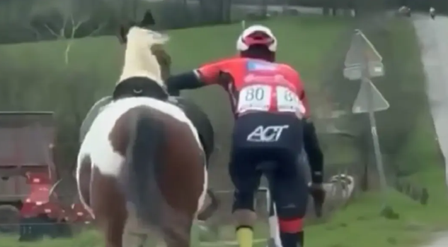 Bizarné scény na pretekoch v Belgicku. „Zaklínač koní“ zabránil najhoršiemu