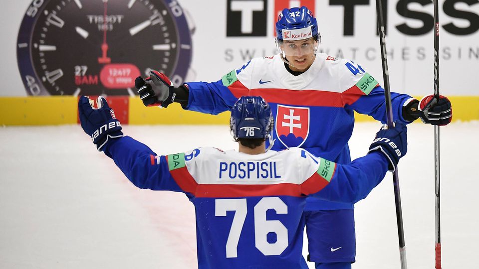 Hrivík, Fehérváry ou quelqu'un d'autre ?  Choisissez le meilleur Slovaque lors du match contre l'Allemagne