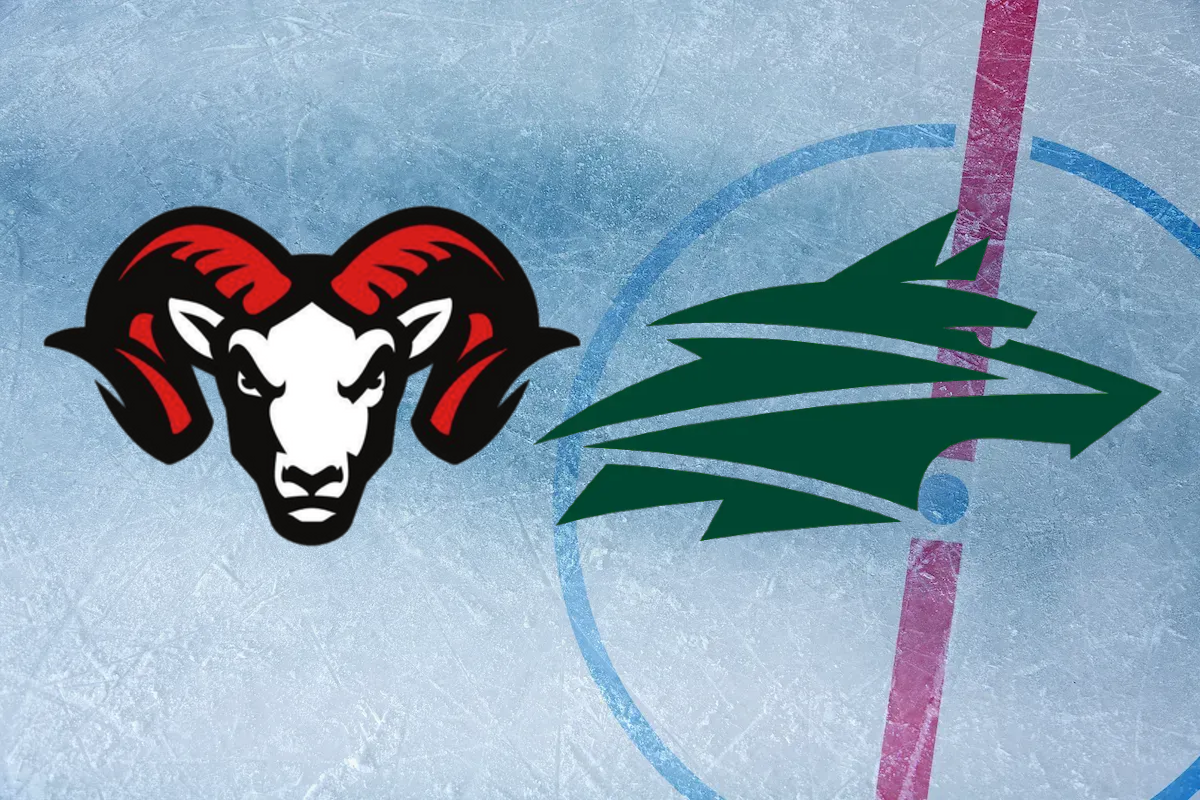 ONLINE HC Banská Bystrica - Vlci Žilina / Tipsport liga