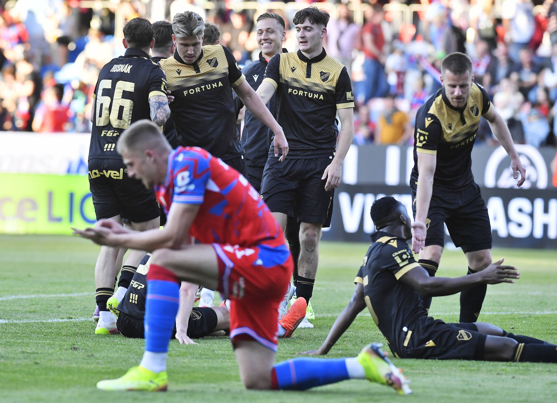 Baník Ostrava - Viktoria Plzeň, zdroj: IMAGO