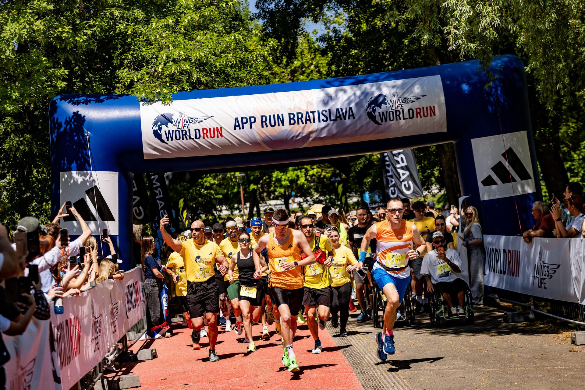 Wings for Life World Run 2026