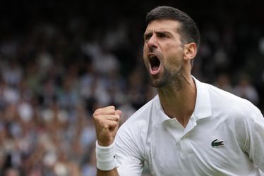 Wimbledon: Rubľov nemal šancu, Djokovič postúpil do semifinále